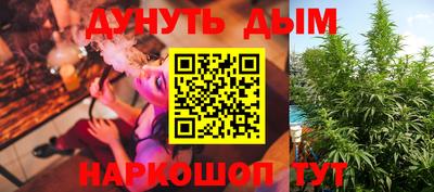 сатива Бузулук