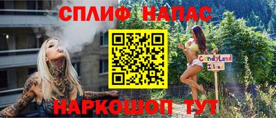сатива Будённовск