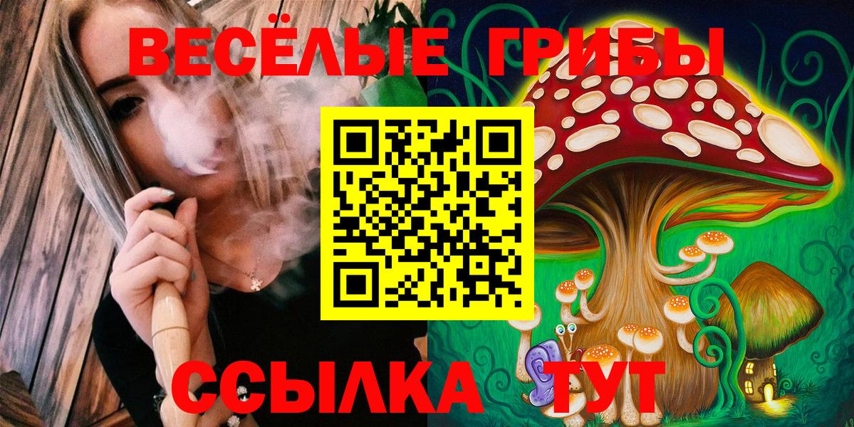 купить наркотики цена  Галлюциногенные грибы мицелий  Галлюциногенные грибы Cubensis  Вход с VPN  Георгиевск 